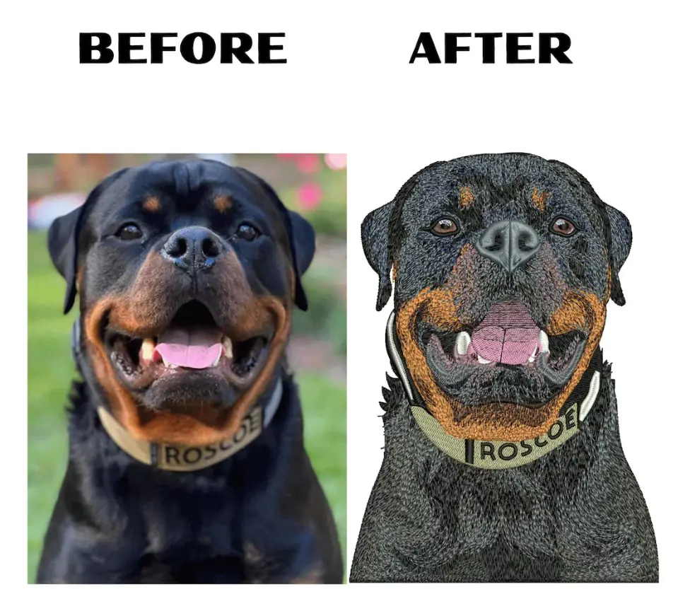 Before and after comparison of a black-and-tan Rottweiler photograph and a detailed digital pet portrait embroidery design preview.
